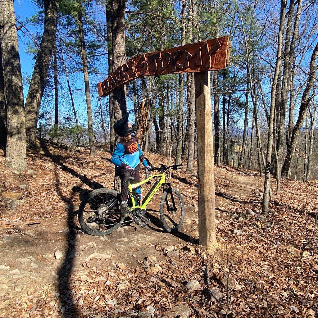 The Ultimate Thrill – Why eMTBs are Perfect for Riders Who Love Speed and Adventure