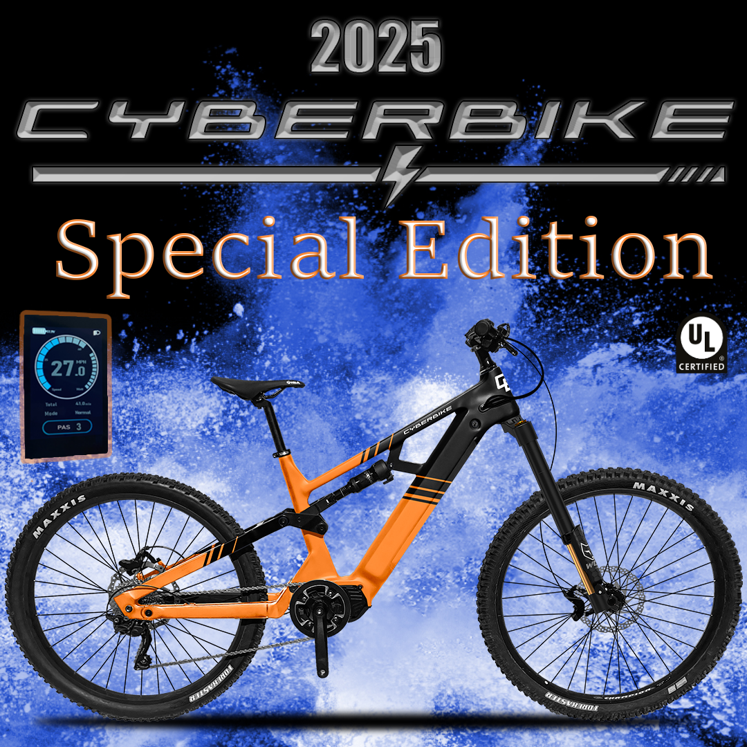 E bike special hot sale