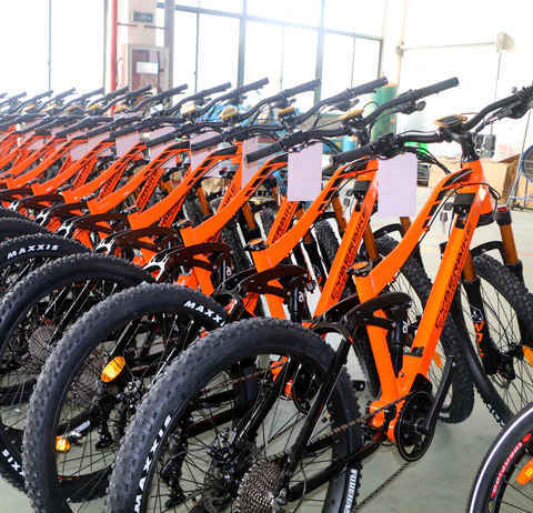 About Cyberbike