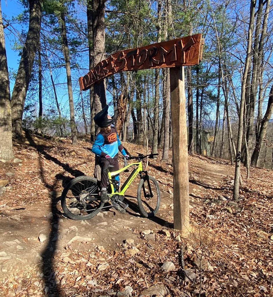 The Ultimate Thrill – Why eMTBs are Perfect for Riders Who Love Speed and Adventure